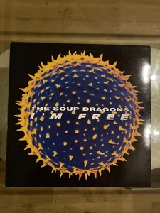 THE SOUP DRAGONS I'M FREE 12" VINYL SINGLE FROM 1989 - Picture 1 of 2