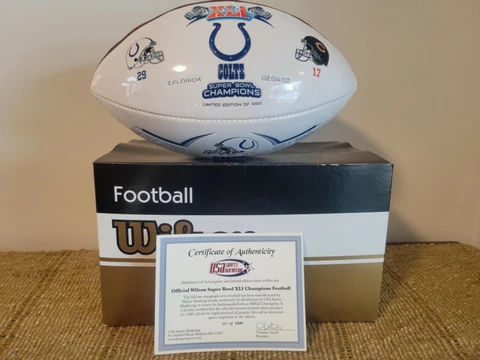 Wilson Super Bowl Commemorative Football Cover