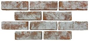 Colbee USA - placage de briques fines - couleur : gris rustique - brique d'argile - fait main