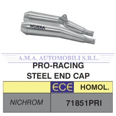 Terminali Pro-Racing nichrom (Dx+Sx) Triumph SPEED TWIN 1200 Anni 2019 2020 - Immagine 1 di 4