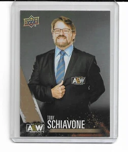 2021 Upper Deck AEW Tony Schiavone GOLD Parallel #79 - Picture 1 of 1