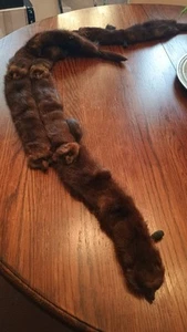 Vintage 40's/50's Estate Real Mink Fur 6 Pelt Stole Wrap Scarf with closure - Picture 1 of 10