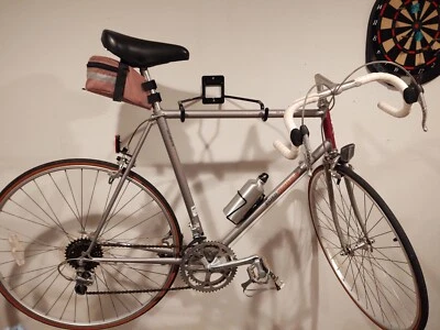 COLLECTOR VINTAGE 1988 Raleigh Technium  460 Road Bike Bicycle 12 Speed - Image 1 of 4