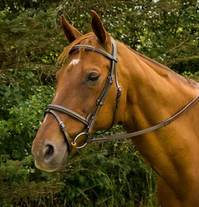 Henri de Rivel Monocrown Event Bridle - Picture 1 of 4