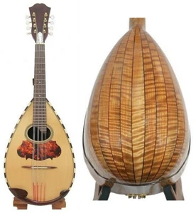 Bowl Back Mandola Solid Spruce top Solid curl Maple back/side NBMA04-08 - Picture 1 of 57