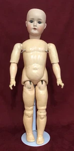 23 1/2 Muñeca Bisque Alemana Antigua Schoenau Hoffmeister Molde 1923 You Dress - Imagen 1 de 10