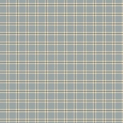 Marcus Fabrics Dolores Smith 1800s Civil War Repro HOME WEAVES Blue Plaid FQ - Image 1 of 2