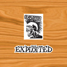 THE EXPLOITED (set of 2) Vinyl Laptop Skateboard Window Bumper Sticker
