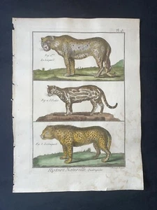 1782 - BUFFON - ORIGINAL ANTIGUO ESTAMPADO COLOREADO A MANO - LEOPARDO, GUEPARDO - PL.93 - Imagen 1 de 1
