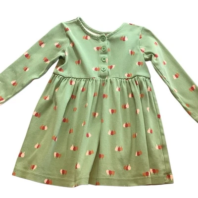 Hanna Andersson Girl’s Green Long Sleeve Skater Dress Size 4 Tulips Play Day - Image 1 of 4