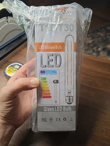 4 Pack LED Edison Bulb T10/T30 Glass Energy Efficient Light - Picture 1 of 5