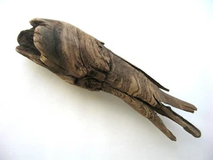 Hohl Treibholz Baum Knoten Stück Terrarium Deko Aquarium Versteck Holz Taxidermie - Bild 1 von 11