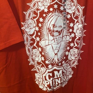 WWE GTS Cm Punk T-shirt XXXL White Red Straight Edge Society Wrestler - Picture 1 of 9