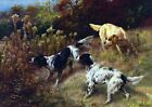 1716 - Three Setters On The Hunt by Edmund Henry Osthaus - Giclee Fine Art Print