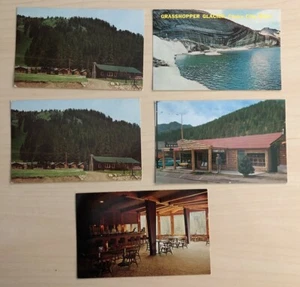 Lot of 5 Cooke City Montana Vintage Postcards Watuck Lodge Grasshopper Glacier  - Picture 1 of 8