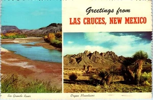 Greetings from Las Cruces, New Mexico, Rio Grande River, Organ Mts. Postcard - Picture 1 of 2