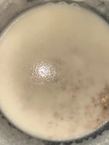 MICROWORM  STARTER  CULTURE! LIVE FISH FOOD! 2oz - Picture 1 of 1