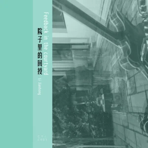 Li Jianhong 院子里的回授 Feedback in the courtyard - Cassette - Picture 1 of 3
