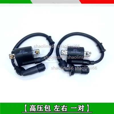 1SET Motorcycle Lgnition Coil Voltage FIT For Benelli BJ125-3E BJ125-3 125cc  - Image 1 of 3