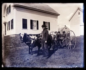 LATE 1800s EARLY 1900s GLASS NEGATIVE, THREE KIDS IN CART, SMALL OXEN, MAN - Bild 1 von 2