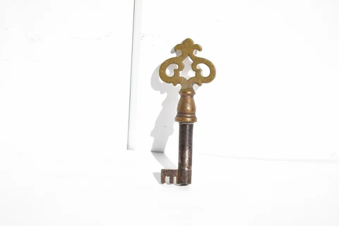 ANTIQUE ORNATE BRASS & STEEL BARREL KEY Cover
