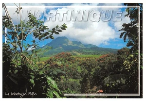 972-MARTINIQUE MONTAGNE PELEE-N�3691-D/0127 - Picture 1 of 2