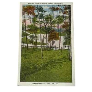 Postkarte Parkplatz Top of Pinnacle Mtn Cumberland Gap TN VA KY um 1946 A410 - Bild 1 von 2