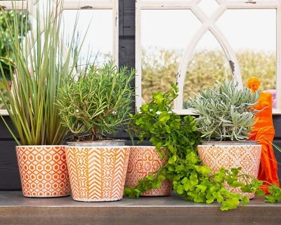 Set of 4 Antique Style Terracotta Ceramic Herb Plant Pot Covers Planters - Image 1 of 4