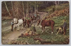 Work Horses Postcard Road Through the Woods Antique Posted 1907 - Picture 1 of 2