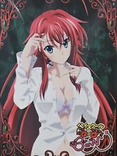 Rias Gremory Chara Sleeve Collection Matte Series High School DxD BorN No.MT243