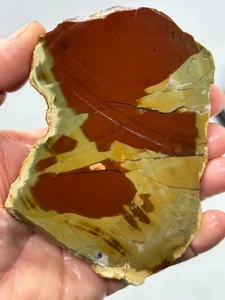 Royal Imperial Jasper Slab Cabbing Collecting Mexican Combo Ship Avail - Picture 1 of 10