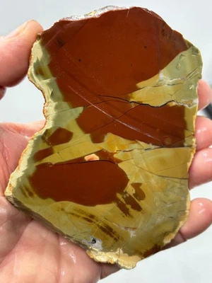 Royal Imperial Jasper Slab Cabbing Collecting Mexican Combo Ship Avail - Image 1 of 4
