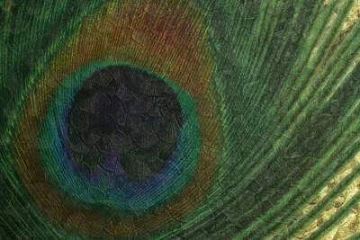 Harald Glööckler wallpaper gold green peacock eye animal 52726 (€58.85/1sqm) - Image 1 of 3