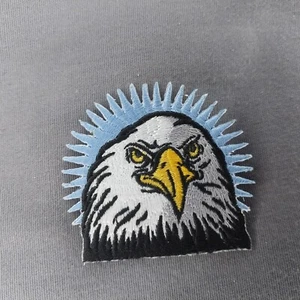 Bald Eagle Bust Face Blue Background Iron On 2" Patch NEW - Picture 1 of 2