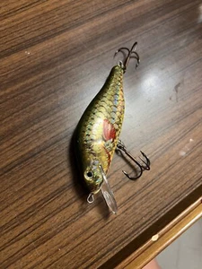 esche da pesca - Foto 1 di 2