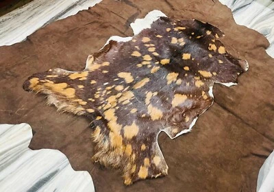 Casaco de pele de cabra escandinavo, pele de couro real, verão nórdico - Imagem 1 de 4