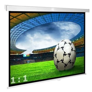 Avlux Heimkino Beamer Rolloleinwand 220 x 220 cm 1:1 4:3 16:9 FULL HD 3D 4K VP24 - Picture 1 of 8