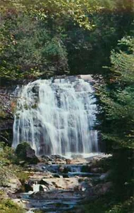 Postkarte North Carolina Meigs Creek Falls unbesendet - Bild 1 von 2