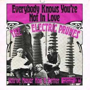 The Electric Prunes / Everybody Knows You're Not In Love / Vinyl / Psychedelic - Bild 1 von 1