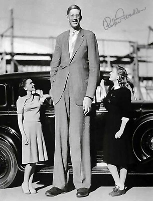 ROBERT WADLOW SIGNED PHOTO 9 FOOT GIANT AUTOGRAPH UFO SIGNATURE 8.5X11 REPRINT