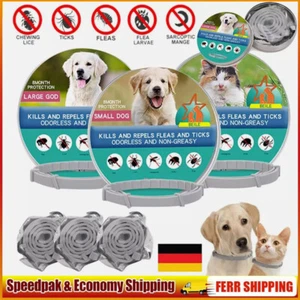 Collar ajustable antipulgas y garrapatas 8 meses de protección para perros grandes pequeños gatos - Imagen 1 de 30