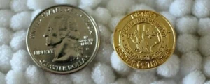 Ysleta ISD Independent School District Teacher of The Year El Paso Pin Pinback - Picture 1 of 2