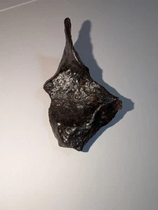90.9 gm . CANYON DIABLO IRON METEORITE ; AWESOME SHAPE; ARIZONA STAND - Picture 1 of 7