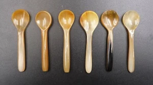 6 cuernos orgánicos cuerno de búfalo cucharas para bebés cucharas de mostaza cucharas de sal cucharas de vaso 6 cm - Imagen 1 de 2