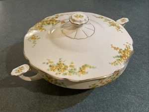 Vintage China Carrollton CLT 148 Discontinued Round Vegetable Bowl & Lid Read - Picture 1 of 16