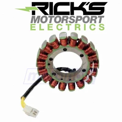 Ricks Motorsport Stator for 1991-1996 Arctic Cat Panther Deluxe - hj Foto 1 de 4