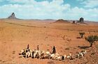 Postcard Chrome Navajo Sheep Herders Trail Reservation AZ Burnt Foot PC560