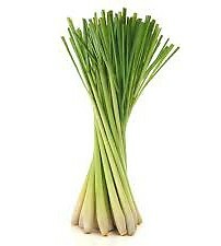 Fresh herbs - Lemongrass seeds 50pcs/set...homegrown from our finest herbs farm