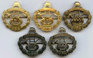 Finland Firefighter FBK VPK Service Badge 25,30,35,40,55 Years Fireman !!! - Picture 1 of 2