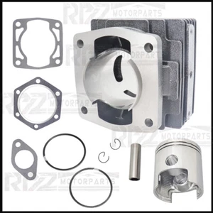 Cylinder & Piston Rebuild Kit Fit For EZGO 76-88 2 cycle 244cc EC25-2PG Engine - Picture 1 of 11